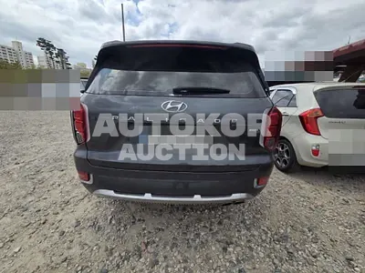 2020, Hyundai / Palisade, 63014 км., gas, 3800 куб.см.