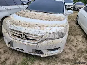 2015, Honda / Accord, VIN: 1HGCR2680FA511766, 100000 км., gas