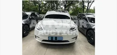 2021, Tesla / Model Y, 166203 км., electric, 236 куб.см.