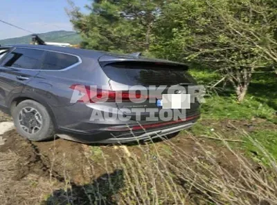 2022, Hyundai / Santa FE, hybrid, 1600 куб.см.
