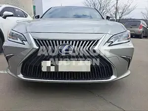 2019, Lexus / ES 300, unknown