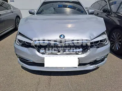 2020, BMW / 520, VIN: WBAJK9103LCE10425, 74015 км., gas