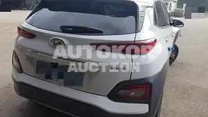 2018, Hyundai / Kona, VIN: KMHK281GFKU021044, 197465 км., electric, 180 куб.см.