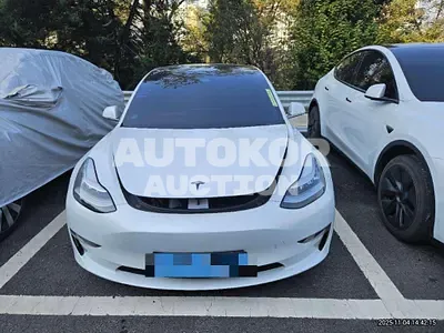 2020, Tesla / Model 3, 45920 км., electric
