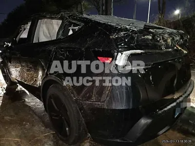 2025, Tesla / Model Y, electric