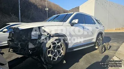 2019, Hyundai / Palisade, VIN: KMHR381ADKU004057, 78940 км., diesel, 2200 куб.см.