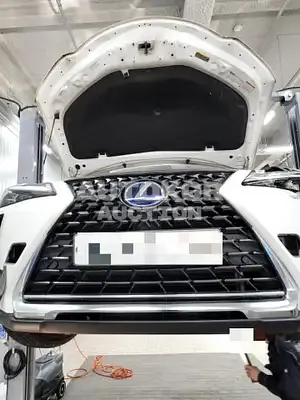 2019, Lexus / UX 250, VIN: JTHU9JBH8K2001192, 87050 км., hybrid