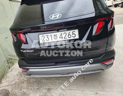 2025, Hyundai / Tucson, VIN: KMHJC81BGSU425214, gas, 1600 куб.см.