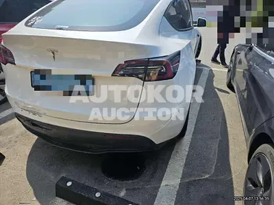 2023, Tesla / Model Y, electric