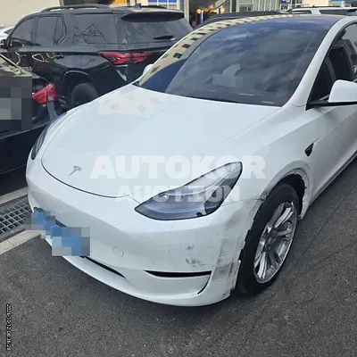 2023, Tesla / Model Y, 65000 км., electric