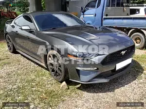 2019, Ford / Mustang, VIN: 1FA6P8TH4K5190709, gas