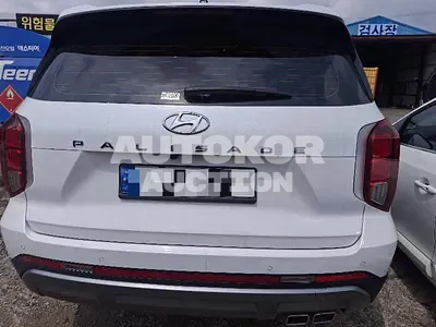2024, Hyundai / Palisade, 33445 км., gas, 3800 куб.см.