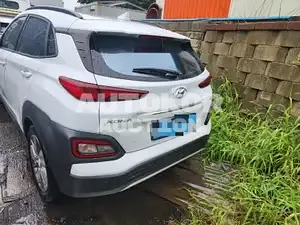 2019, Hyundai / Kona, VIN: KMHK381GFKU033332, electric