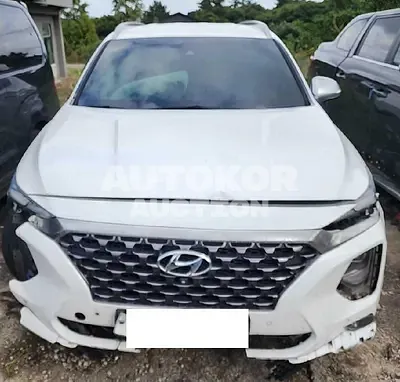 2019, Hyundai / Santa FE, VIN: KMHS581CBKU144080, diesel