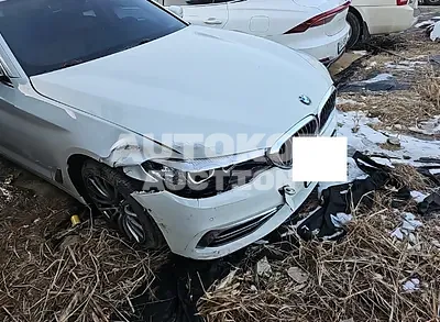 2020, BMW / 520, VIN: WBAJK9104LCD22547, 71824 км., gas