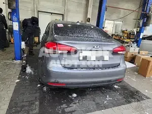 2017, BMW / Z1, VIN: KNAFK412BHA728981, 52494 км., gas