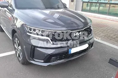 2022, Kia / Sorento, VIN: KNARF81FGNA161865, gas