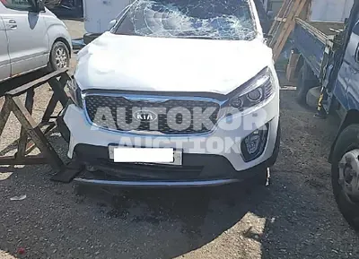 2016, Kia / Sorento, VIN: KNAPG81ABGA176888, diesel