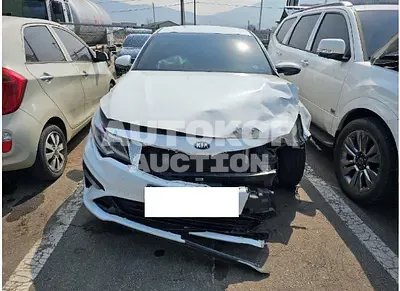 2019, Kia / K5, VIN: KNAGT416BKA309881, 173487 км., lpg