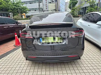 2026, Tesla / Model X, electric, 256 куб.см.