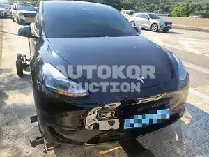 2023, Tesla / Model Y, 22395 км., electric, 173 куб.см.