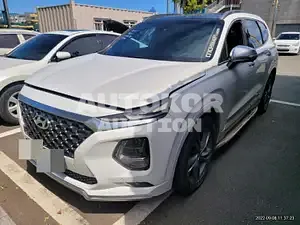 2019, Hyundai / Santa FE, 54167 км., gas