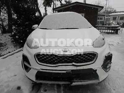2019, Kia / Sportage, VIN: KNAPL812GKK627653, 71330 км., diesel