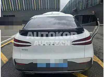 2022, Hyundai / Genesis, electric, 111 куб.см.