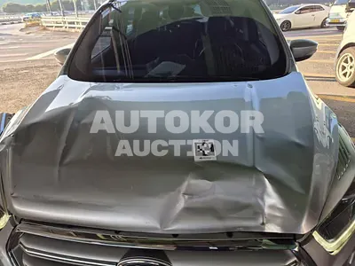 2017, Ford / Kuga, VIN: WF0AXXWPMHHP07559, diesel