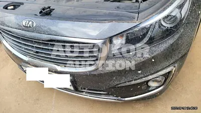 2018, Kia / Carnival, VIN: KNAMC81ABJS401459, gas