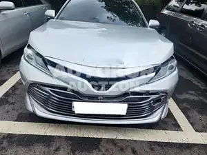 2019, Toyota / Camry, VIN: JTNB11HK3K3092221, gas