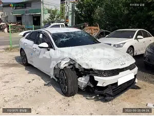 2021, Kia / K5, VIN: KNAG641BBNA161501, lpg