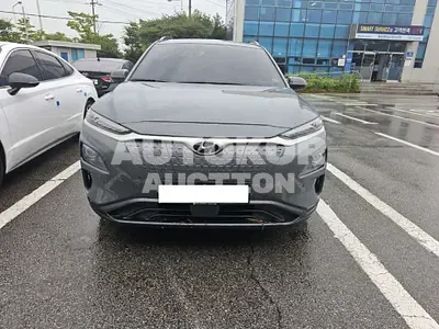 2019, Hyundai / Kona, VIN: KMHK381GFKU005093, 69731 км., electric
