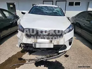 2019, Kia / Sorento, VIN: KNAPH81BBLA564657, diesel