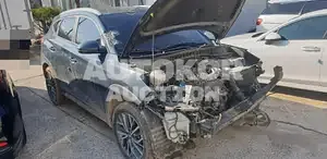 2019, Hyundai / Tucson, VIN: KMHJ381ADKU149803, 77780 км., diesel
