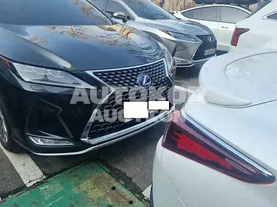 2020, Lexus / RX 450, VIN: JTJBGMCAXL2058428, 42307 км., gas