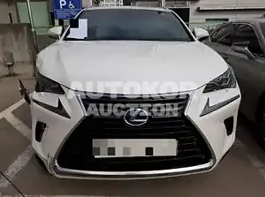 2018, Lexus / NX 300, VIN: JTJBJRBZ2J2086498, 76848 км., hybrid