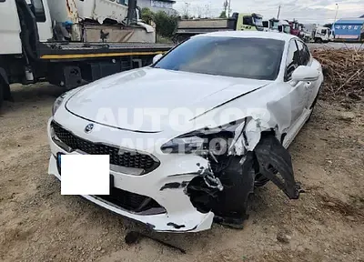 2019, Kia / Stinger, VIN: KNAE651BDKS045522, 60080 км., diesel
