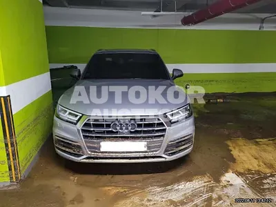 2020, Audi / Q5, VIN: WAUZZZFY6L2080182, diesel