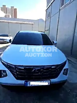 2023, Hyundai / Tucson, VIN: KMHJB81BGPU295877, gas