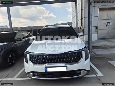 2025, Kia / Carnival, VIN: KNANE81ABSS093261, hybrid, 1598 куб.см.