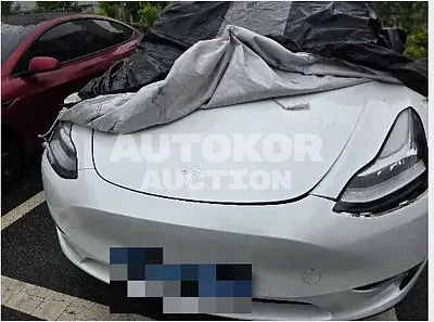2022, Tesla / Model Y, VIN: 7SAYGDEE8NF422507, 25054 км., electric, 236 куб.см.
