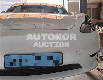2023, Tesla / Model Y, electric, 173 куб.см.