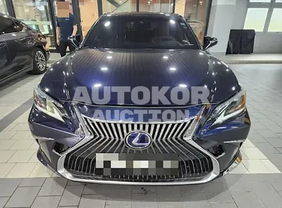 2019, Lexus / ES 300, hybrid