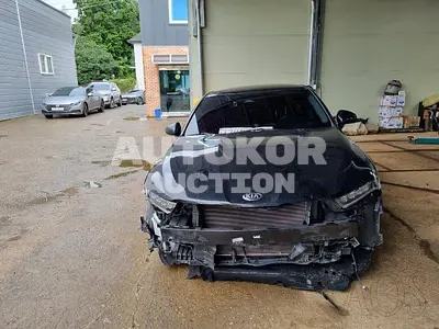 2020, Kia / K5, VIN: KNAG541BBLA063969, 81104 км., lpg, 2000 куб.см.