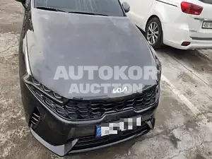 2021, Kia / K5, VIN: KNAG341JBNA020139, 326 км., hybrid, 1999 куб.см.