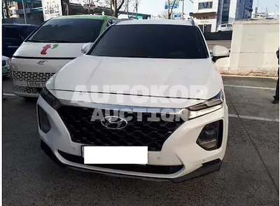 2019, Hyundai / Santa FE, VIN: KMHS381BBKU076488, 89155 км., diesel