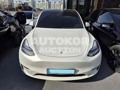 2021, Tesla / Model Y, VIN: 5YJYGDEE5MF238668, 311187 км., electric, 1 куб.см.