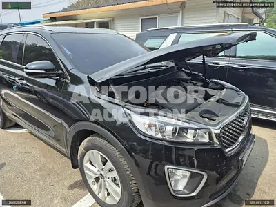 2016, Kia / Sorento, VIN: KNAPS81ABHA294531, 96595 км., diesel