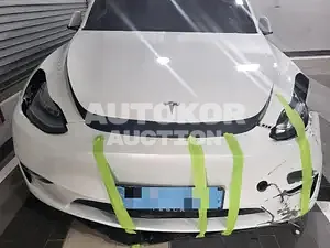 2021, Tesla / Model Y, VIN: 5YJYGDEE9MF176692, 25000 км., electric, 236 куб.см.